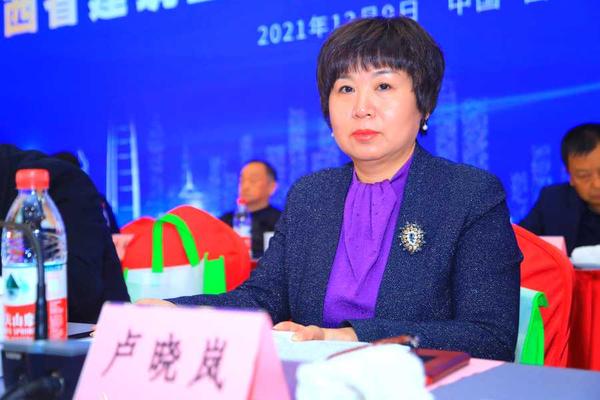 陕西有色建设有限企业党委书记、董事长卢晓岚