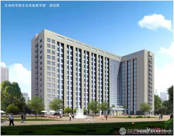 以梦为马不负韶华陕建安装集团十二公司西北大学项目团队成长记