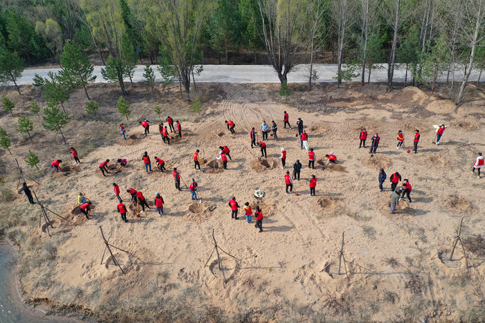 4月10日，神木公司组织义务植树活动，图为植树现场_副本.jpg